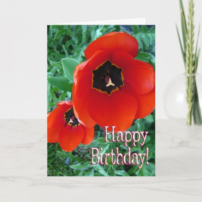 Cartão Flores de Papoula - Feliz Aniversário! (Frente)