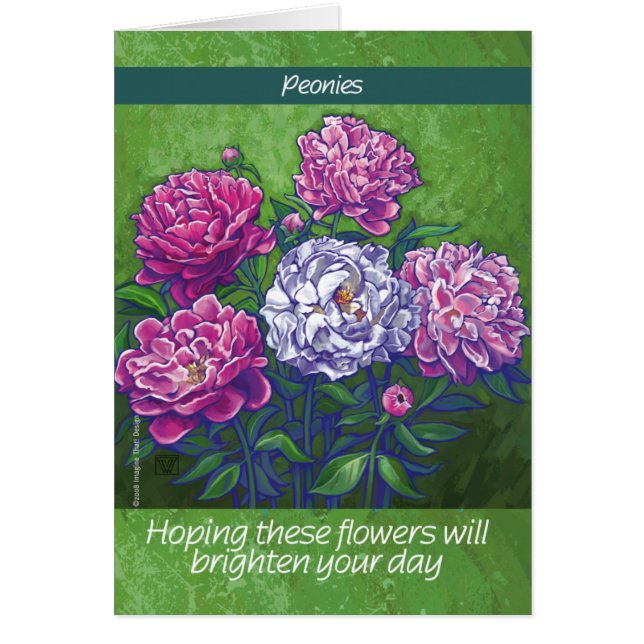 Cartão Flores de Pênia Branca e PInk (Frente)