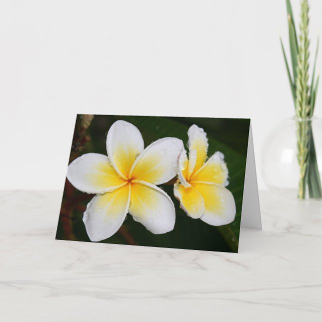 Cartão Flores de Plumeria (Frente)