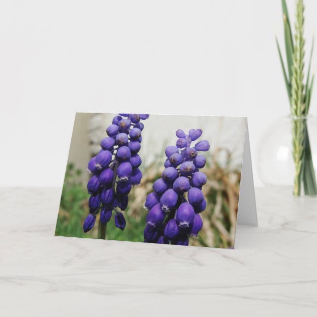 Cartão Flores de primavera (Frente)