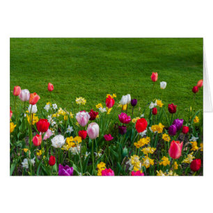 Cartão Flores de primavera