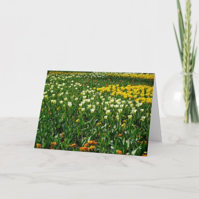 Cartão Flores de primavera (Frente)