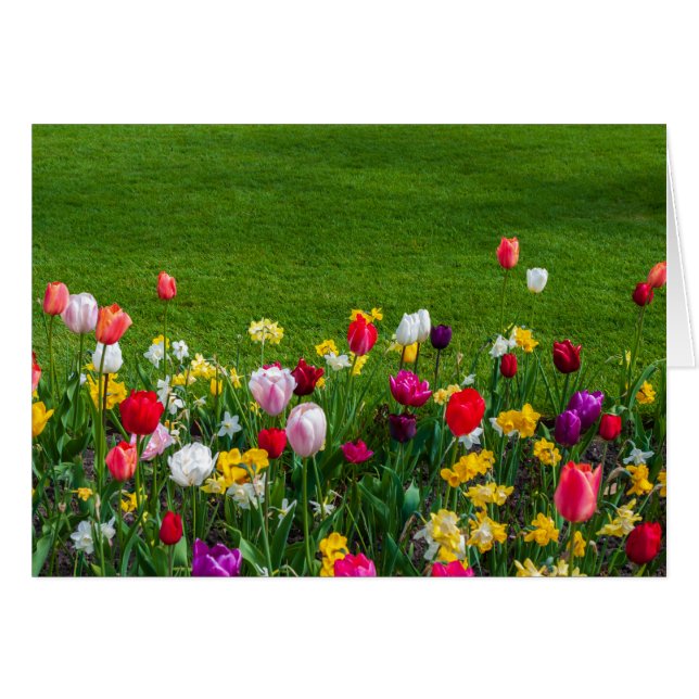 Cartão Flores de primavera (Frente Horizontal)