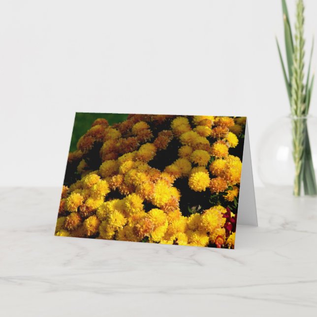 Cartão Flores de queda (Frente)