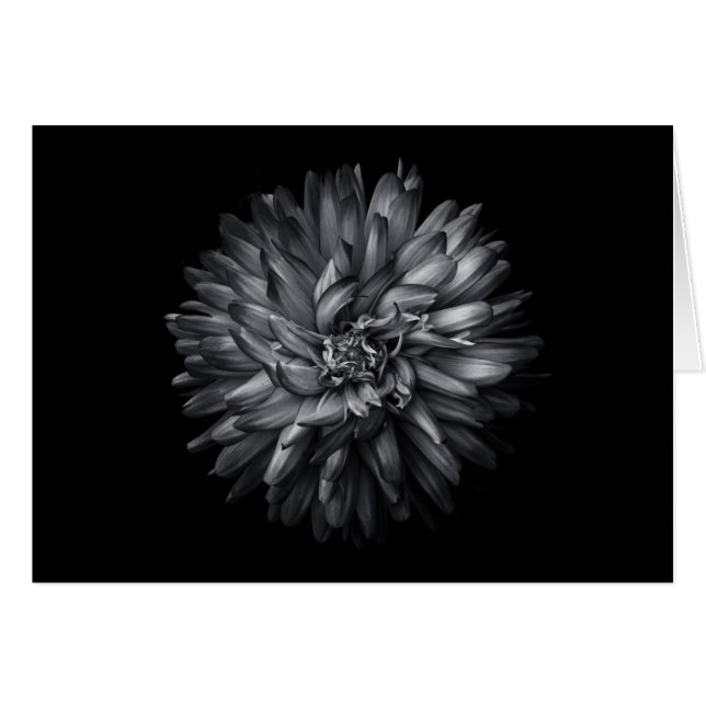 Cartão Flores De Quintal A Preto E Branco 20 (Frente Horizontal)