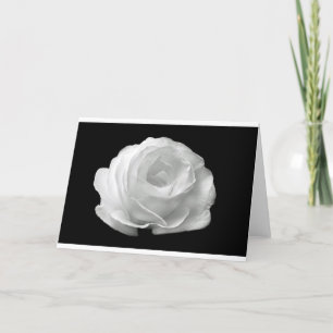 Cartão Flores de Rosa Branca Jardim Paz Amor Arte