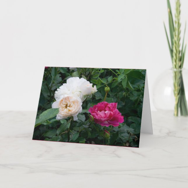 Cartão Flores de Rosas Cor-de-rosa Creme Modernas Elegant (Frente)