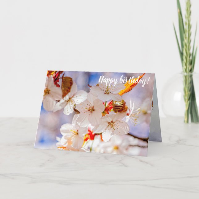 Cartão Flores De Sakura Gargas E Elegantes Em Springtime (Frente)