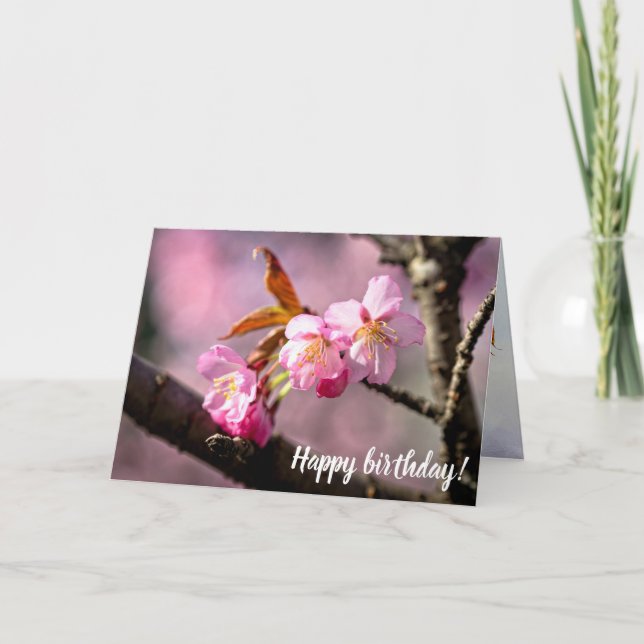 Cartão Flores De Sakura Rosa Numa Árvore Em Springtime (Frente)