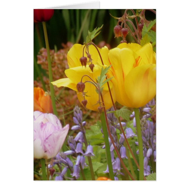 Cartão Flores De Tensão (Frente)