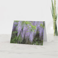 Flores de Wisteria Roxa Modernas e Elegantes para