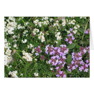 Cartão Flores desconhecidas