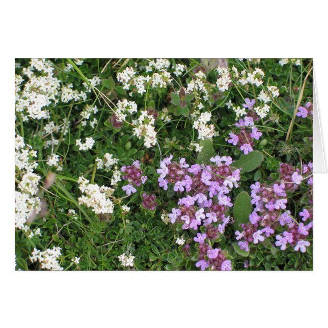 Cartão Flores desconhecidas (Frente horizontal)