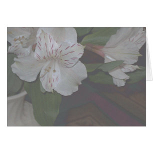Cartão Flores do Alstroemeria