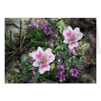 Cartão Flores do Alstroemeria