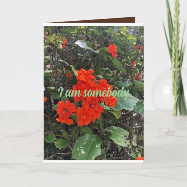 Cartão flores do amor de alguém que se importa. (Frente)