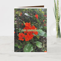 flores do amor de alguém que se importa.