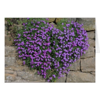 Cartão Flores do Amor: Yorkshire 'Wall-Flowers'