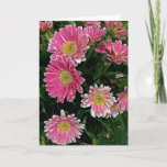 Cartão Flores do Gerbera<br><div class="desc">Flores cor-de-rosa da margarida do gerbera</div>