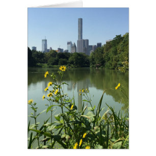 Cartão Flores do Lago Central Park Skyscraper Nova Iorque