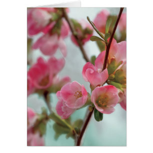 Cartão Flores do marmelo