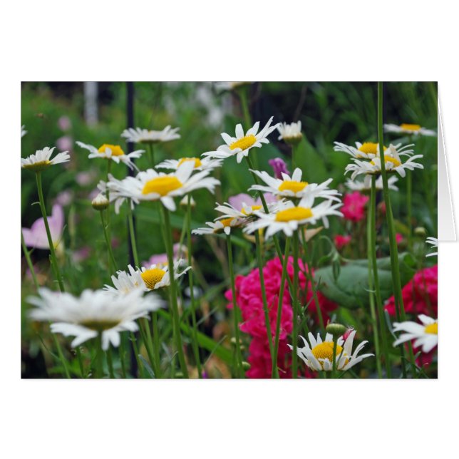 Cartão Flores do mundo (Frente horizontal)