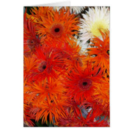 CARTÃO FLORES DO OUTONO