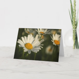 Cartão Flores do primavera