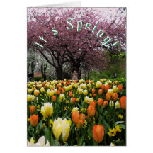 Flores do primavera e texto do costume da árvore