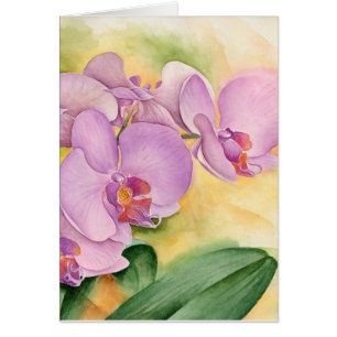 Cartão Flores do roxo do rosa das orquídeas do