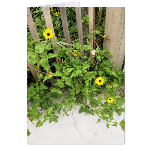 Cartão Flores e cerca de Duna de praia (Frente)