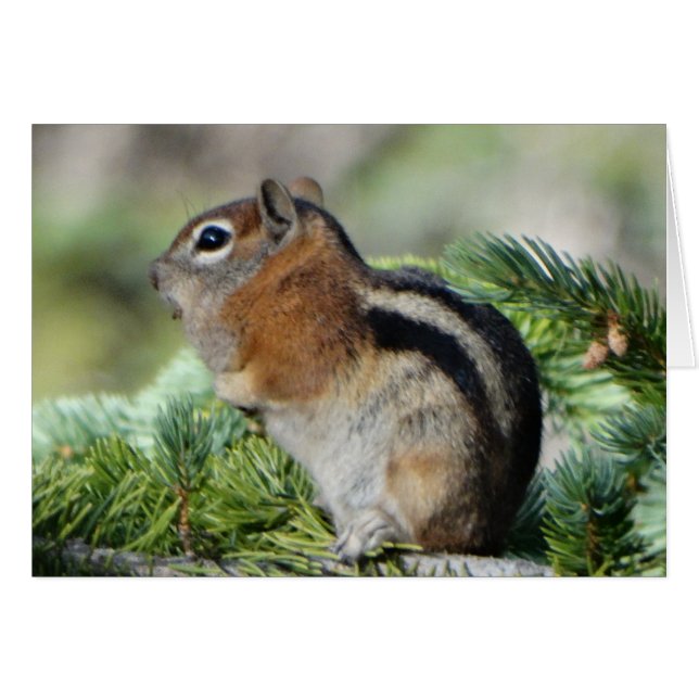 Cartão Flores e pequeno Chipmunk fofo (Frente Horizontal)
