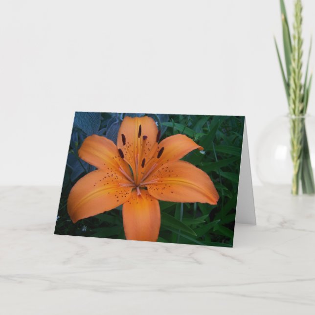 Cartão Flores e plantas (Frente)