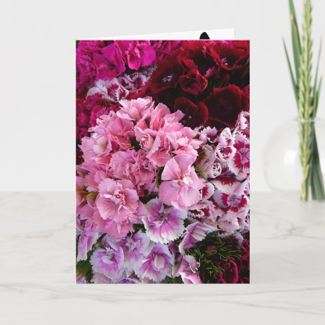 Cartão Flores em Flor (Frente)