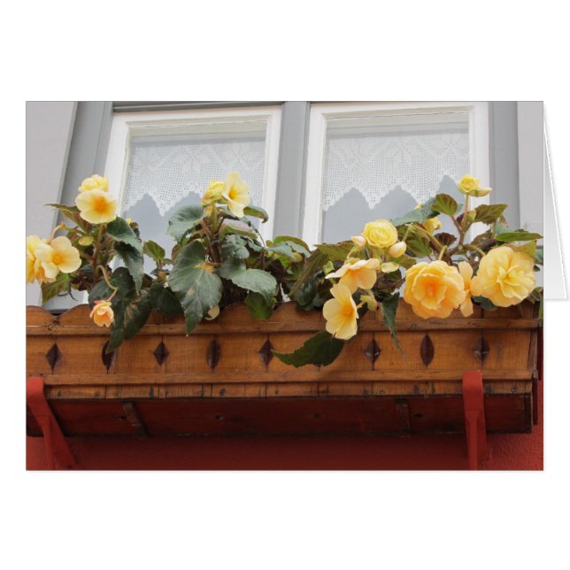Cartão Flores em uma Caixa de Janela (Frente horizontal)
