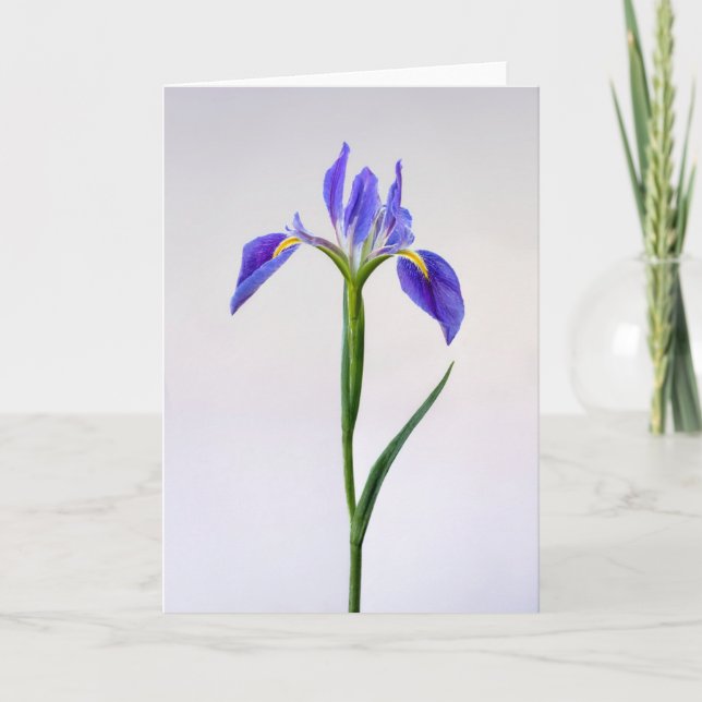Cartão Flores | Flor Roxo-Íris (Frente)