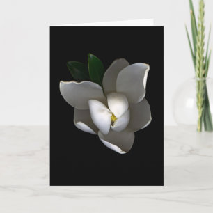Cartão Flores   Flor Solteiro Magnolia Branca