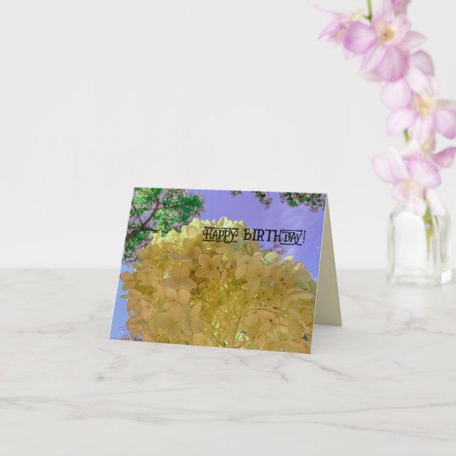 Cartão Flores florais hidrangea amarelo bonito ANIVERSÁRI (Orquídea)