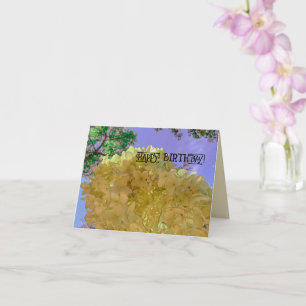 Cartão Flores florais hidrangea amarelo bonito ANIVERSÁRI