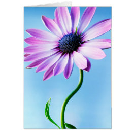 Cartão Flores Flóridas de Flores Roxas e Azuis