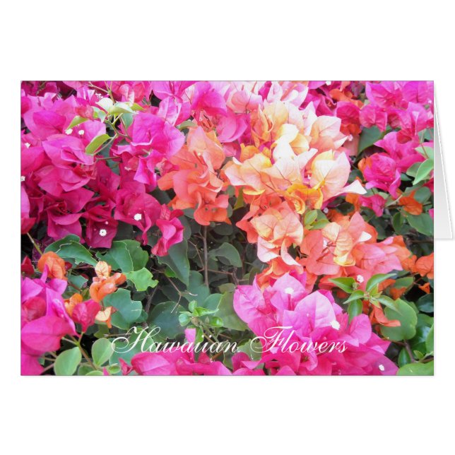 Cartão Flores Havaianas (Frente Horizontal)