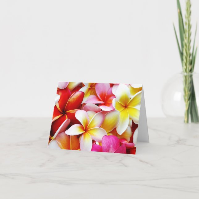 Cartão Flores havaianas Plumeria Frangipani Hawaii Flor (Frente)