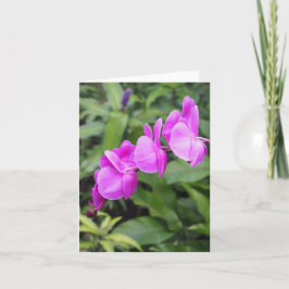 Cartão Flores Havaianas, Rosa-Brilhante, Dobraram o Cartã