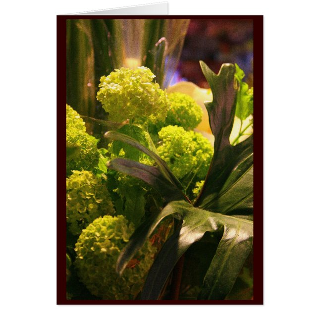 Cartão Flores holandesas (Frente)