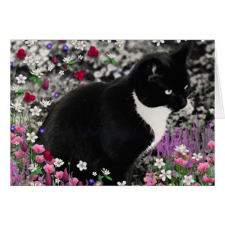 Cartão Flores II - Gato Tuxedo