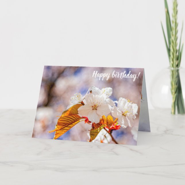 Cartão Flores Impressionantes De Sakura Num Dia De Primav (Frente)