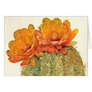 Cartão Flores Laranja De Cactus