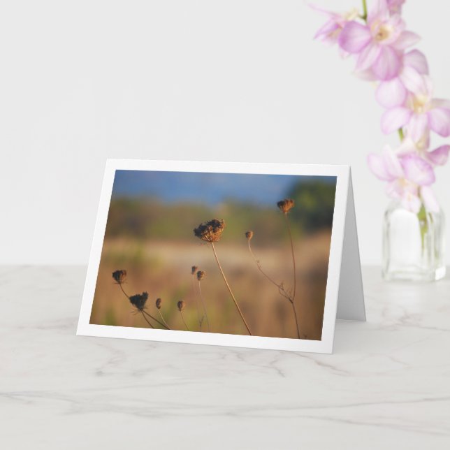 Cartão Flores Mortas Selvagens na Paisagem de Campo (Orquídea)