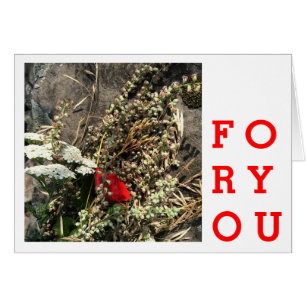 Cartão Flores naturais