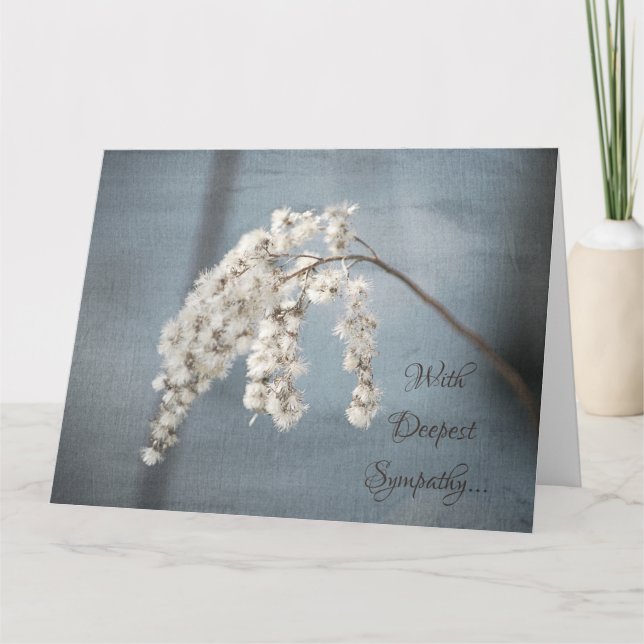 Cartão Flores Natureza Fotografia Flor Grande Simpatia (Frente)